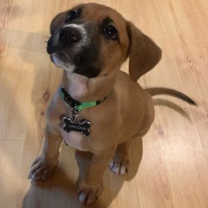 Meet your Posher, Cole